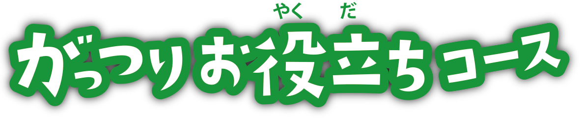 がっつりお役立ちコース